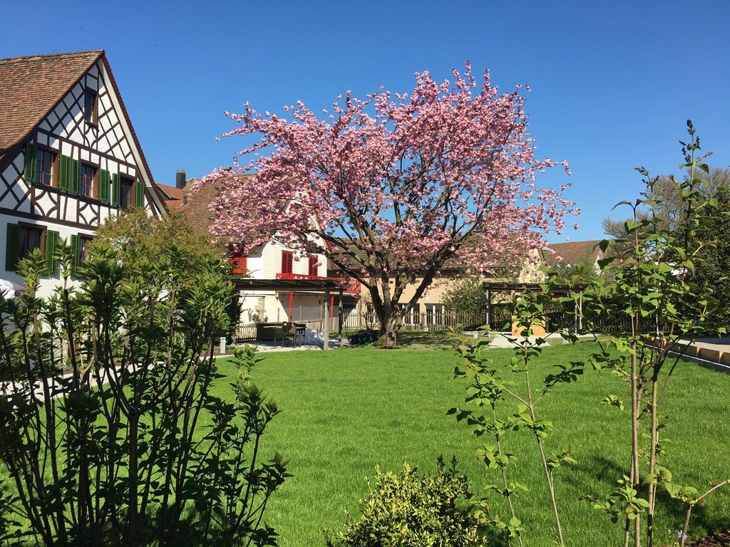 Ferienhotel Bodensee Berlingen Buitenkant foto